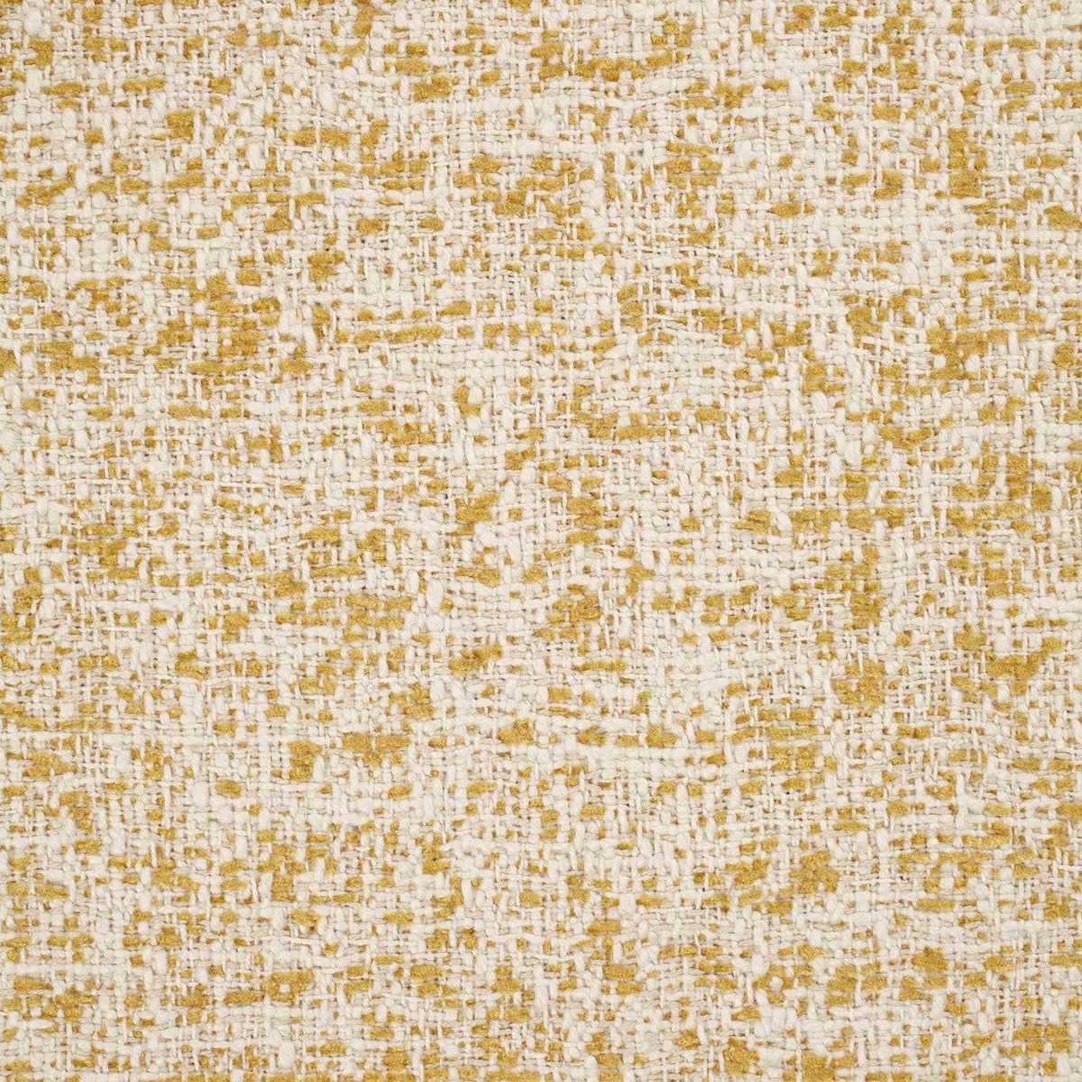 Speckle 131868