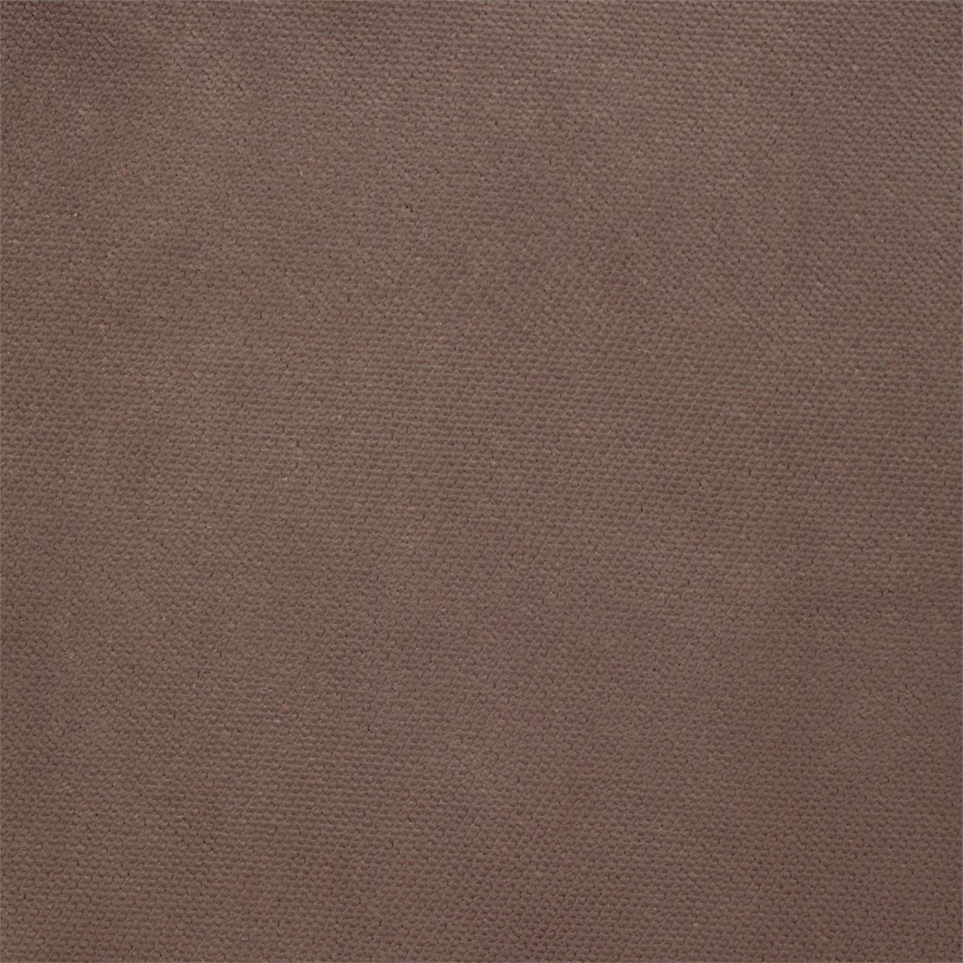Villus HVIL142572