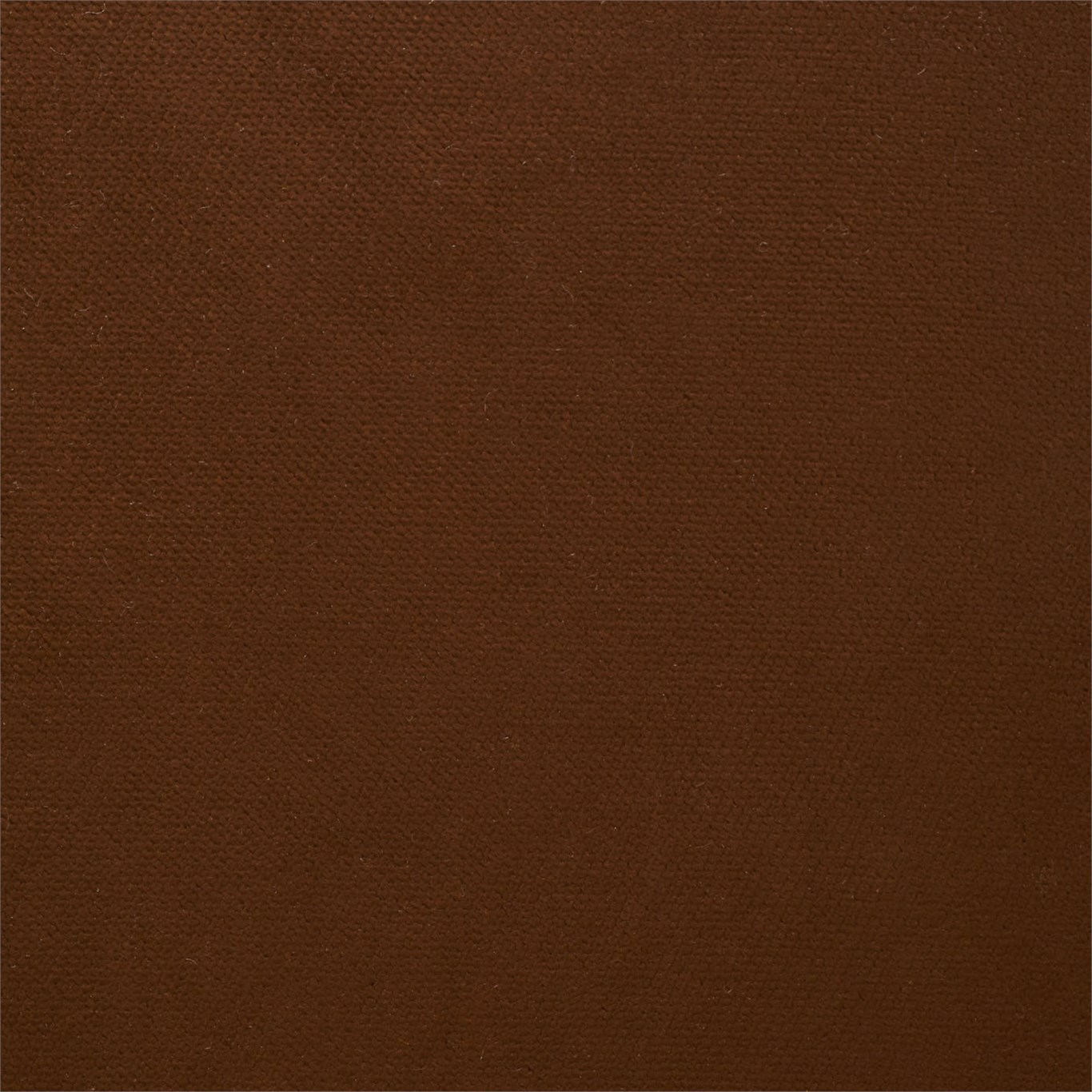 Villus HVIL142593