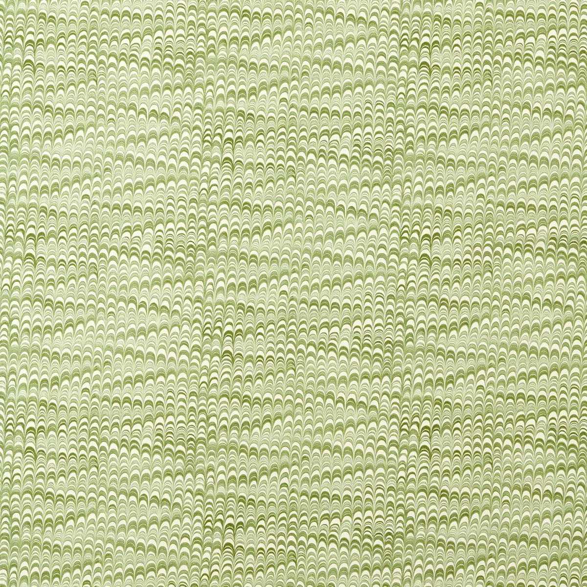 Washi 121262
