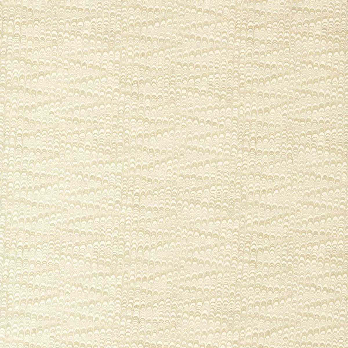 Washi 121264
