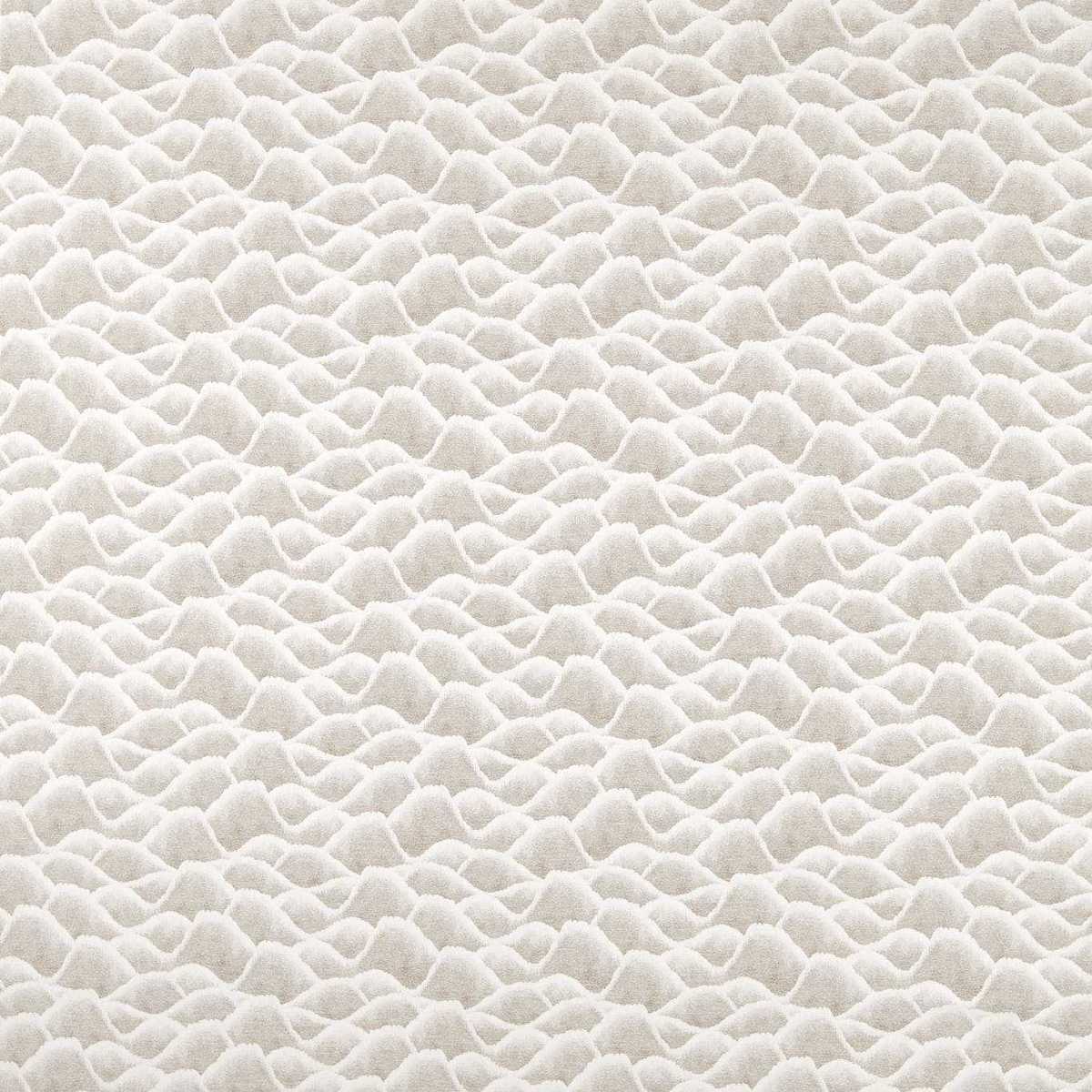 Zuni 134705