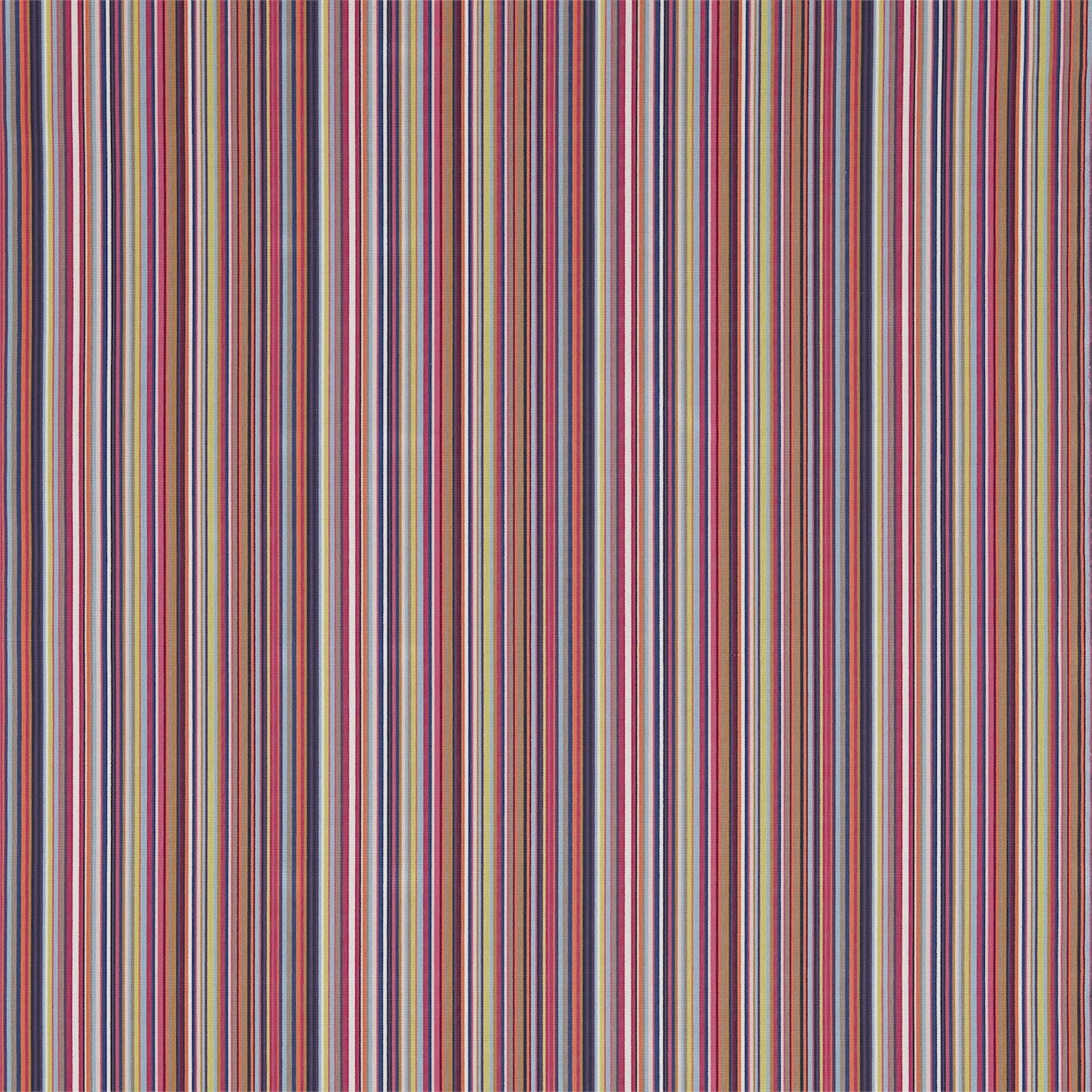 Zuri 131286