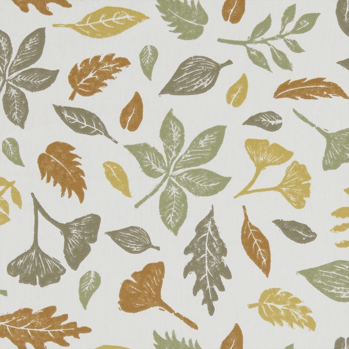 Hawthorn Autumn F1188-01