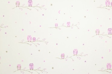 Hibou CFT 2566 41 41