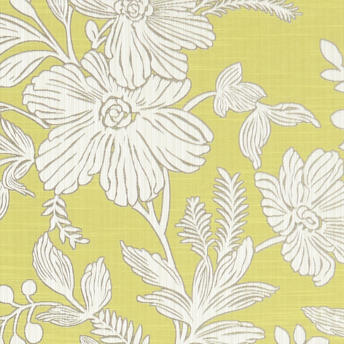 Hollyhurst Citrus F1245-03