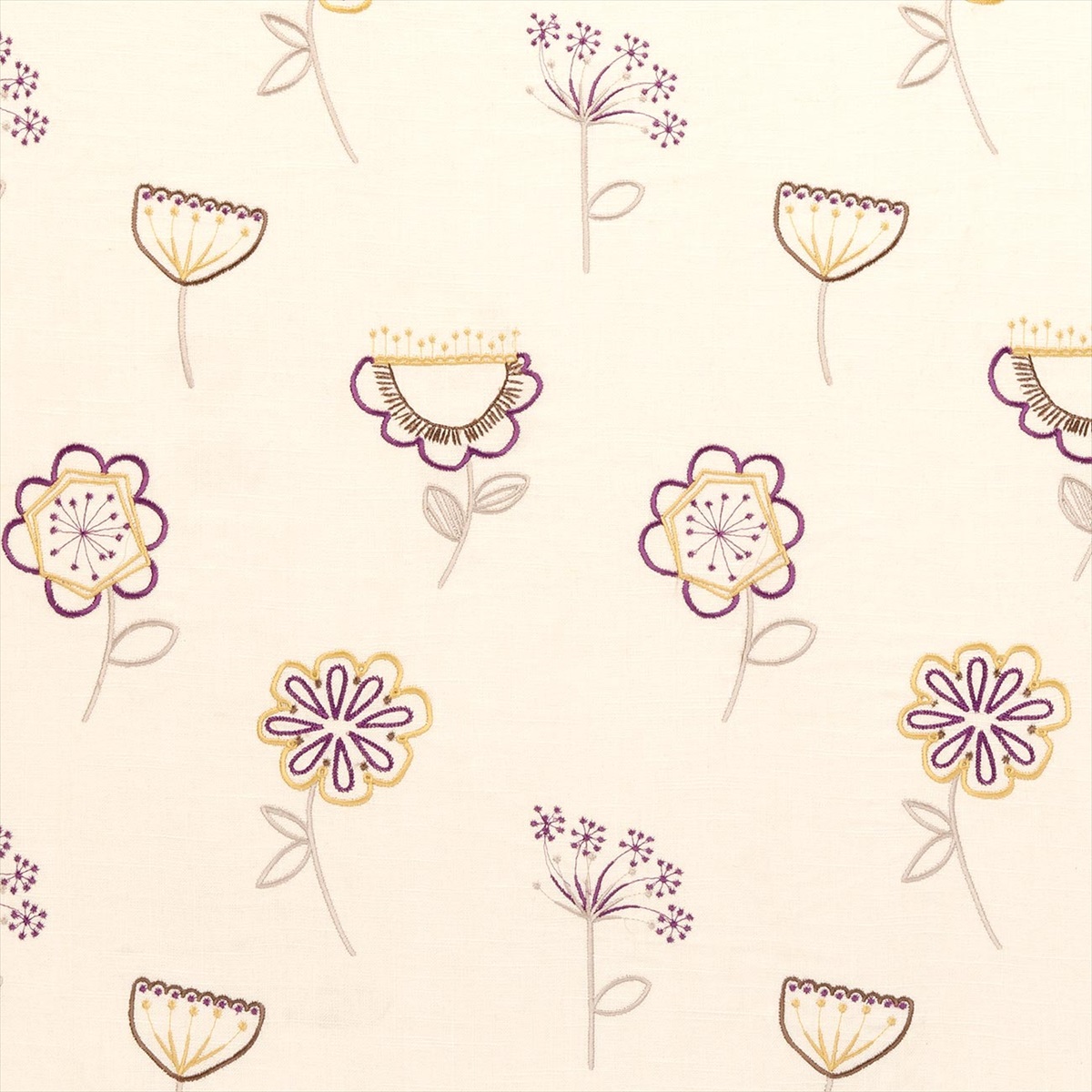 Jubilee Elderberry F0470-02