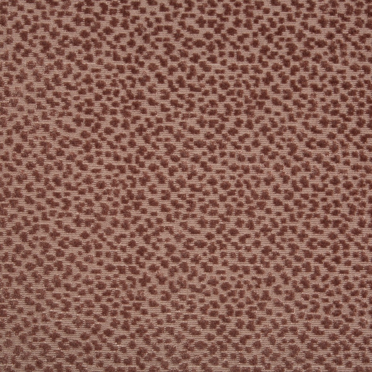La Panthere Velvet 8017126-119