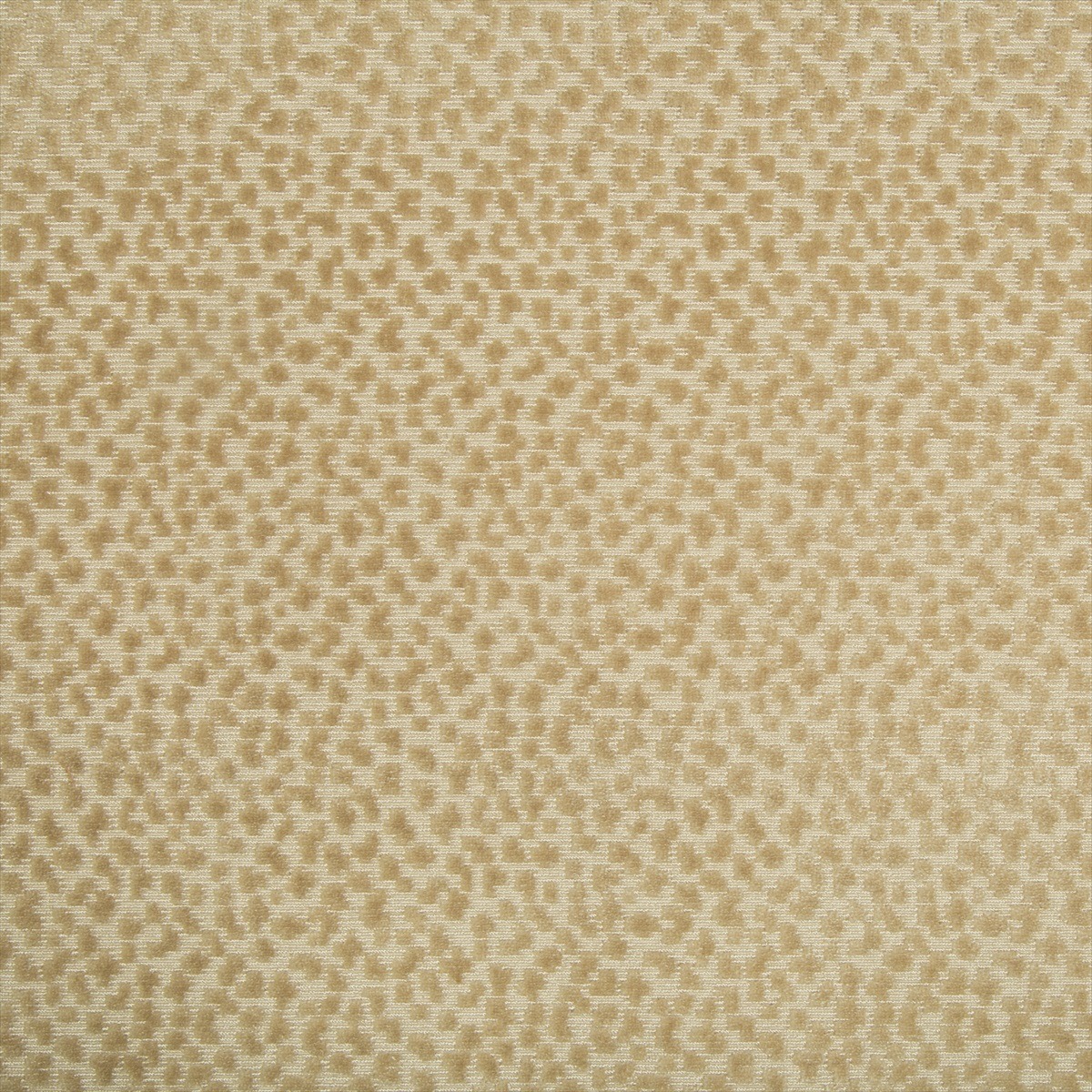 La Panthere Velvet 8017126-16