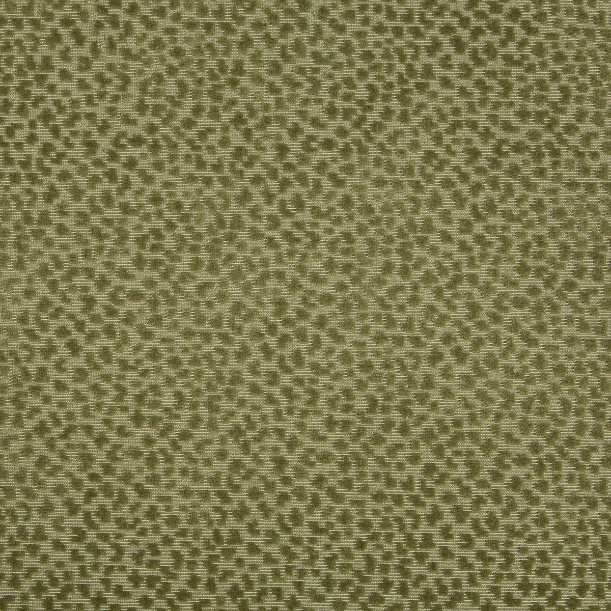 La Panthere Velvet 8017126-3