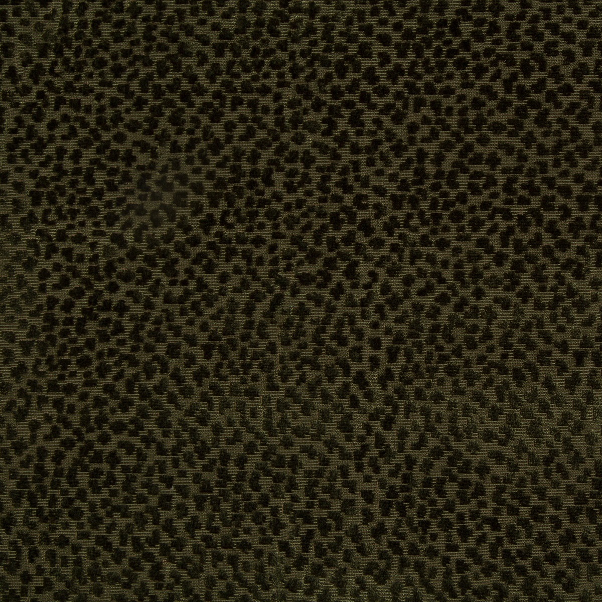 La Panthere Velvet 8017126-30