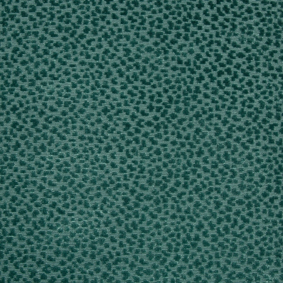 La Panthere Velvet 8017126-35