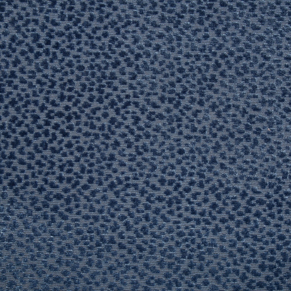La Panthere Velvet 8017126-5