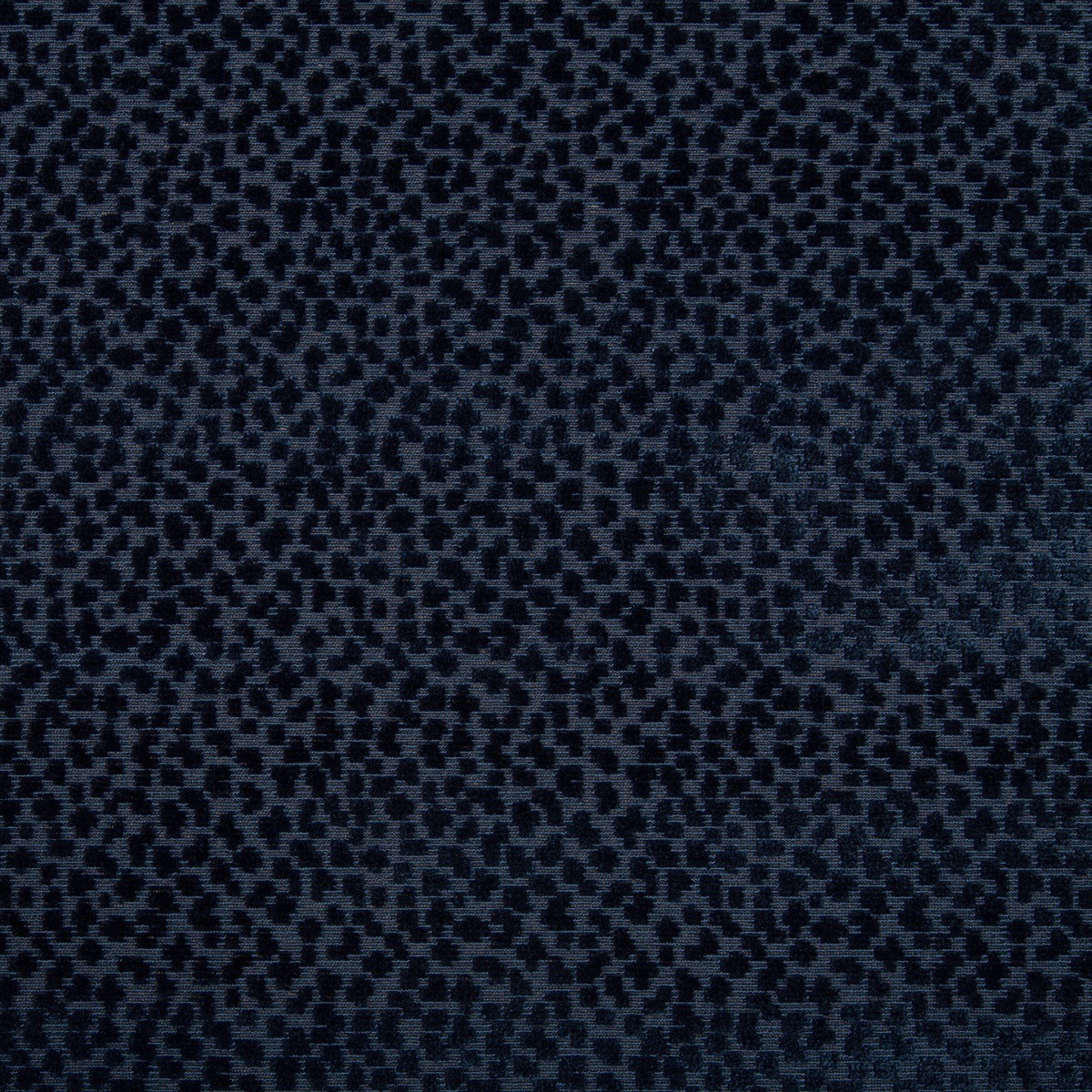 La Panthere Velvet 8017126-50