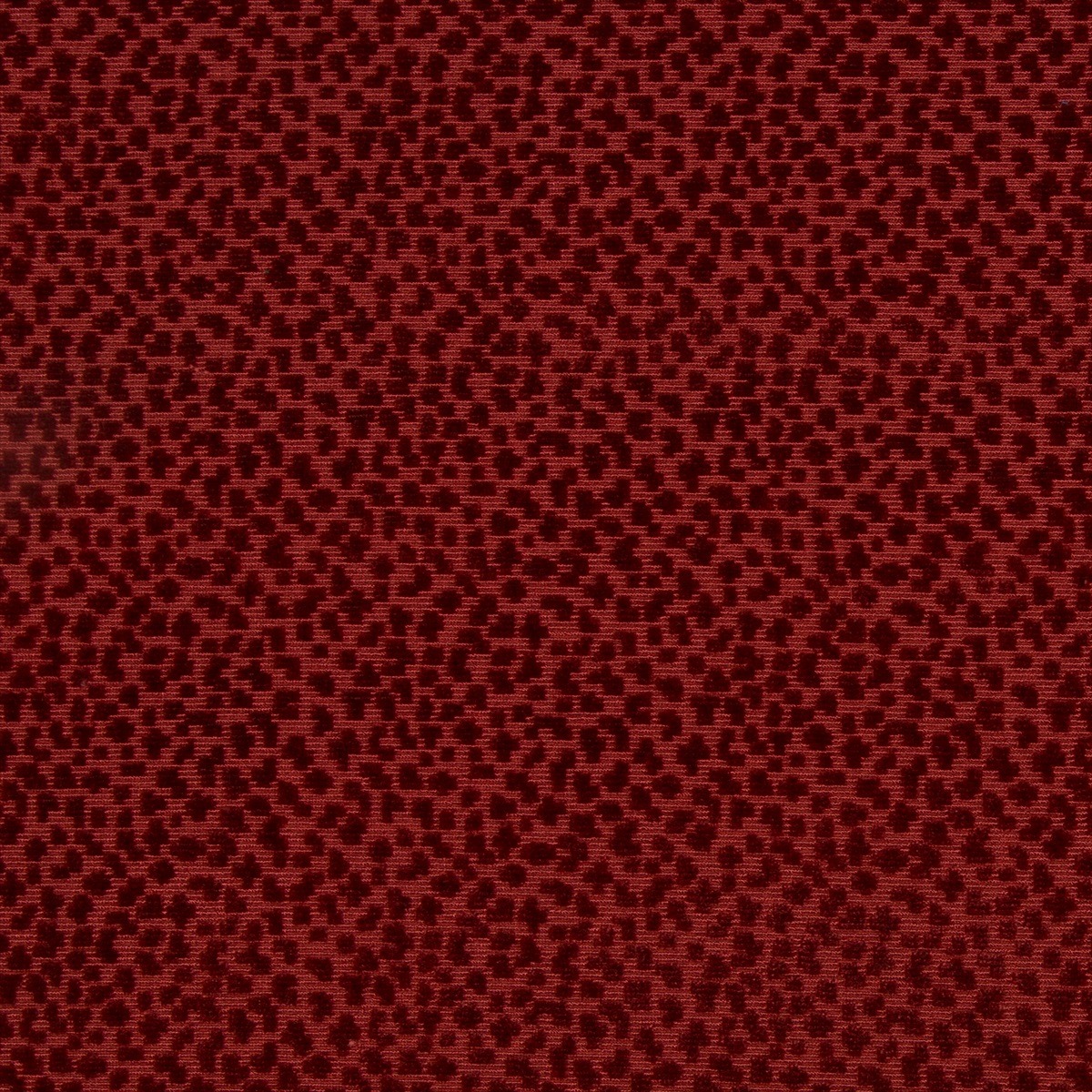 La Panthere Velvet 8017126-9