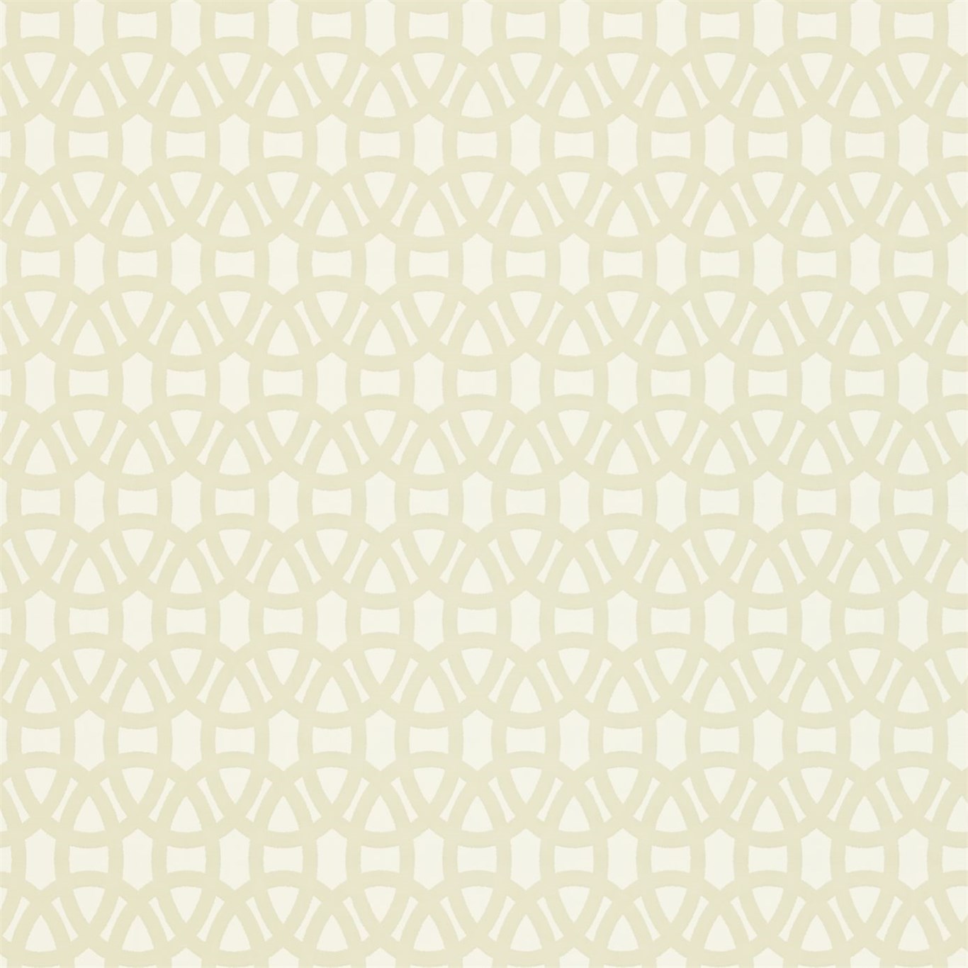 Lace 110224