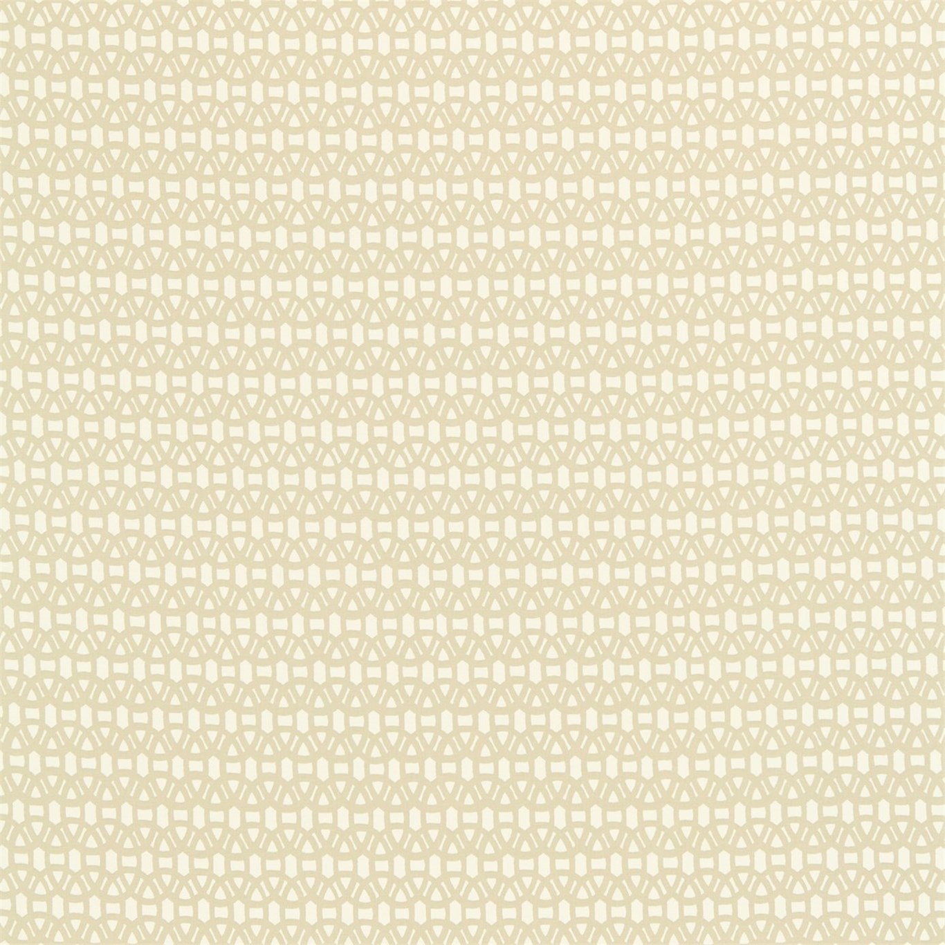 Lace 120091
