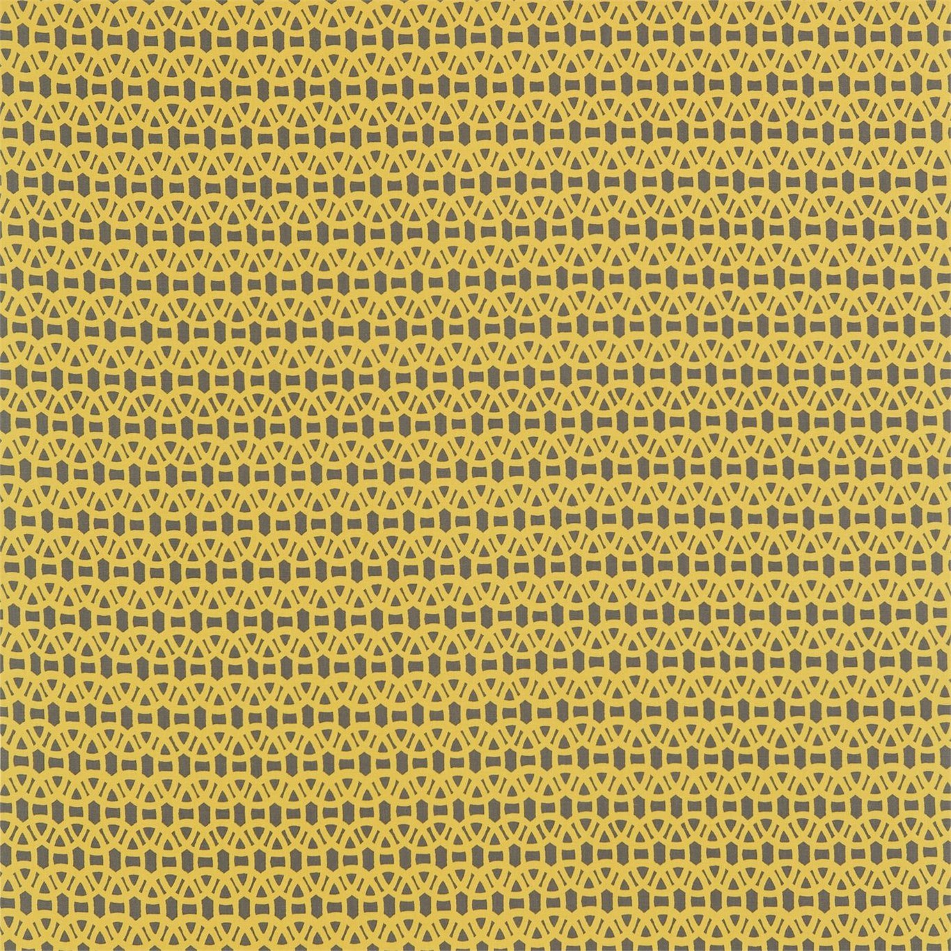 Lace 120093