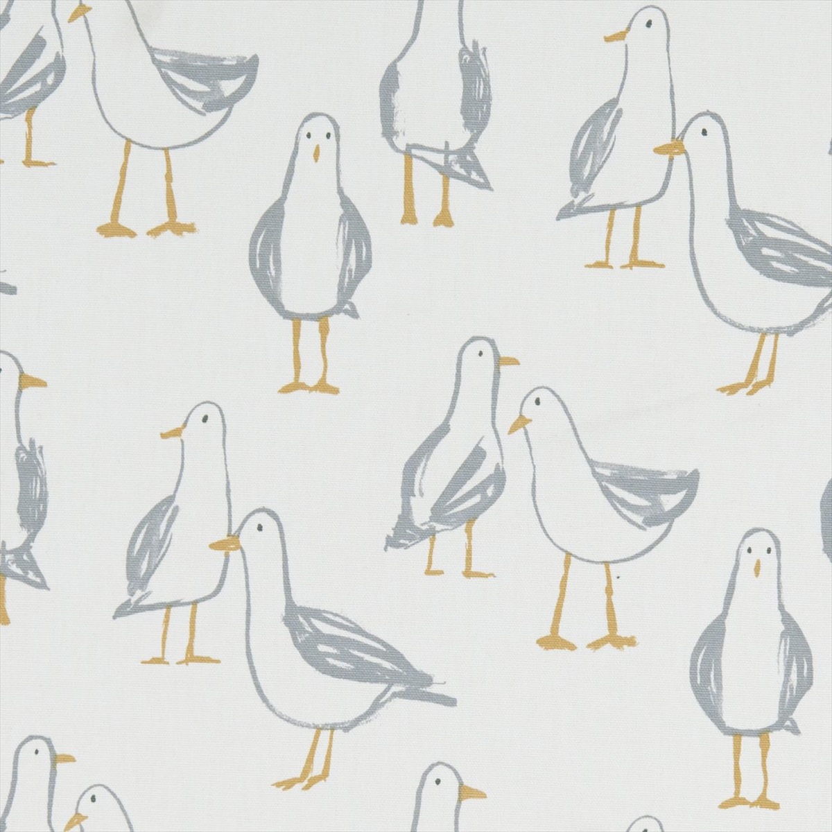 Laridae Natural F1192-02