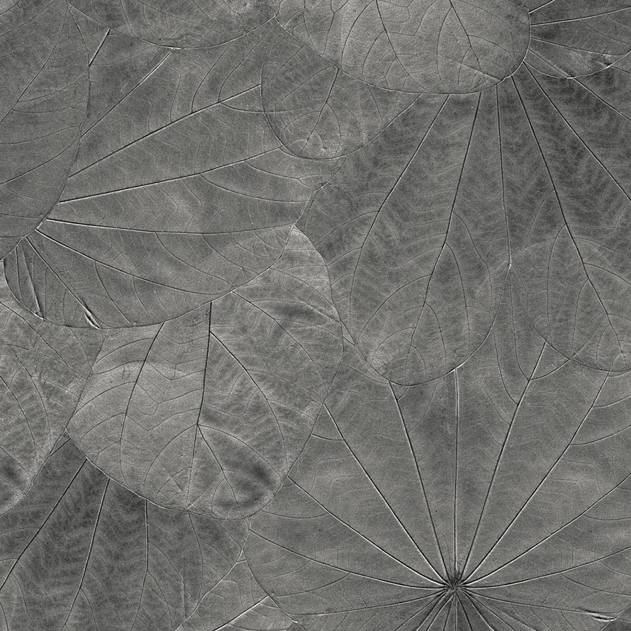 Leaves M-SLA-OO1