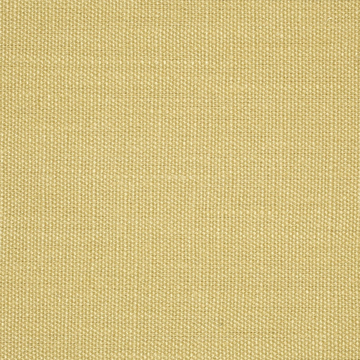 Lemonade Plains One 130451