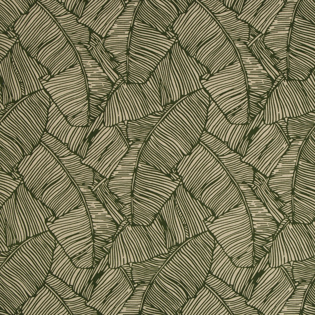 Les Palmiers Print 8017134-3