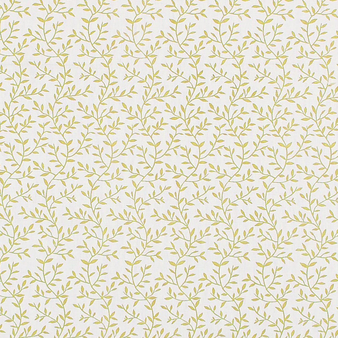Lila Citrus F1375-03