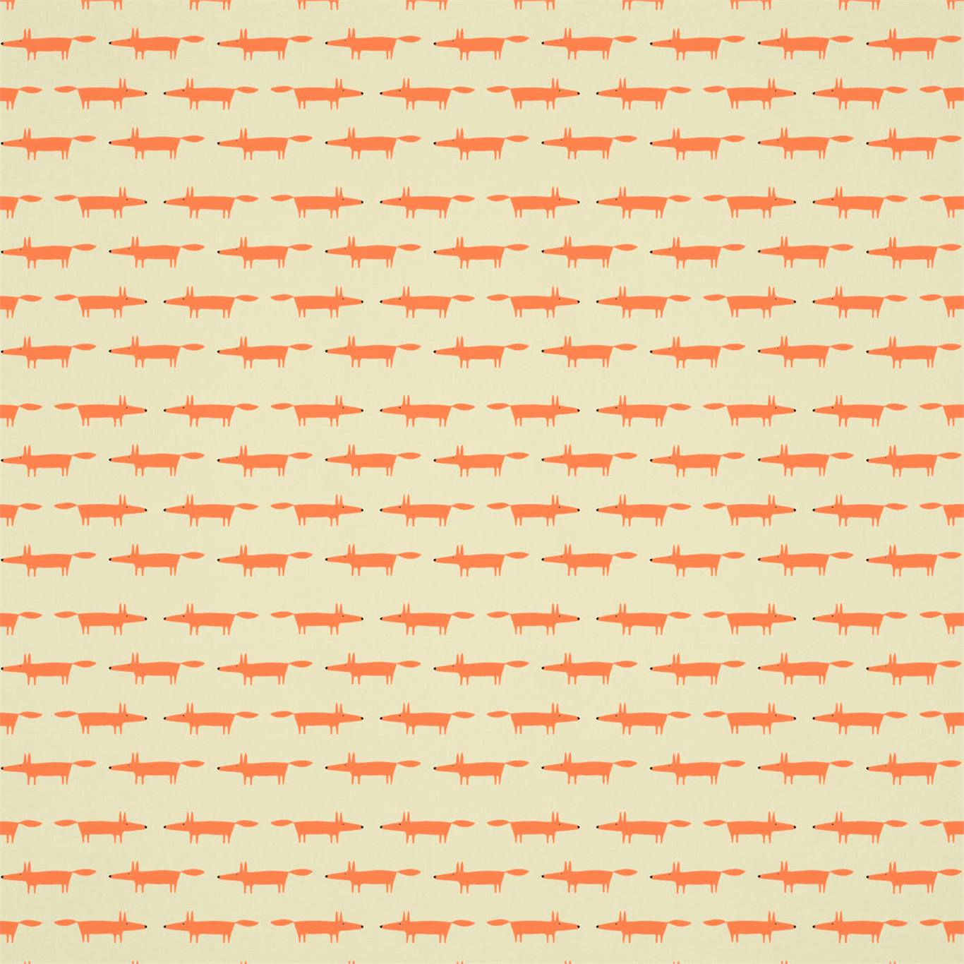 Little Fox 112262
