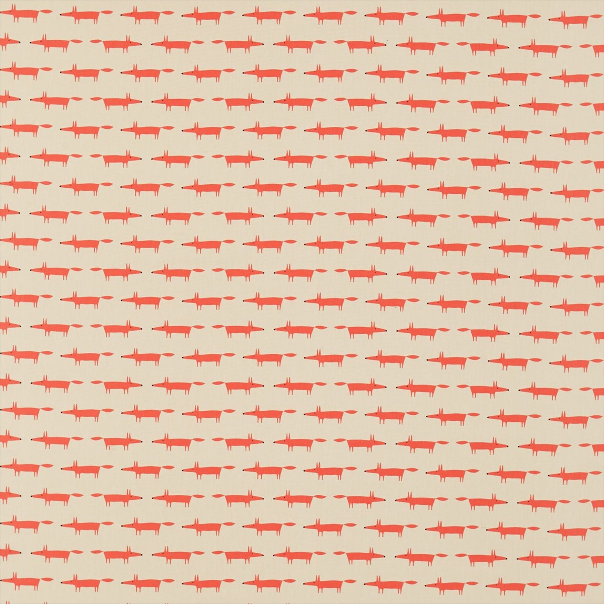 Little Fox 120462