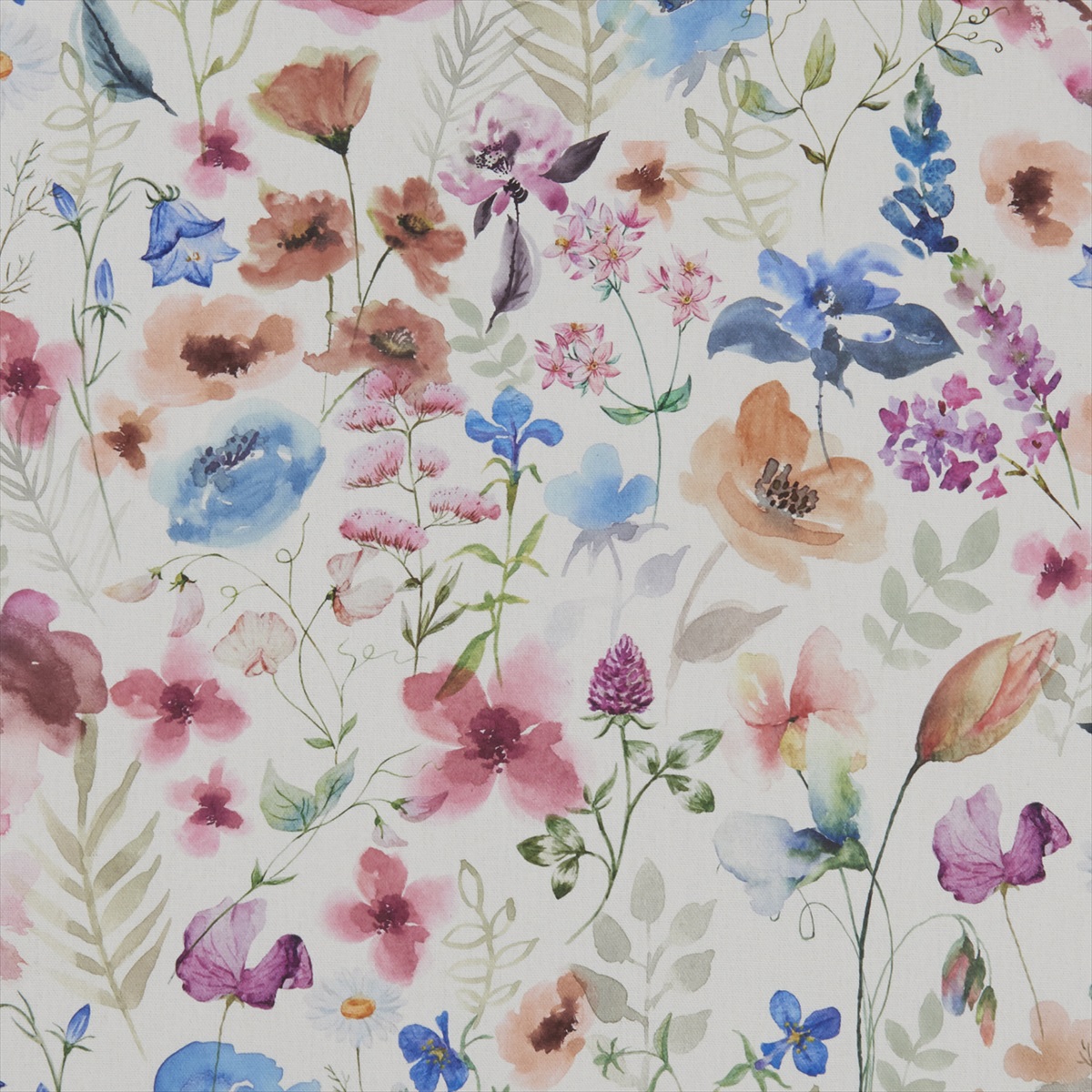 Lolita Multi-Cream F1164-01
