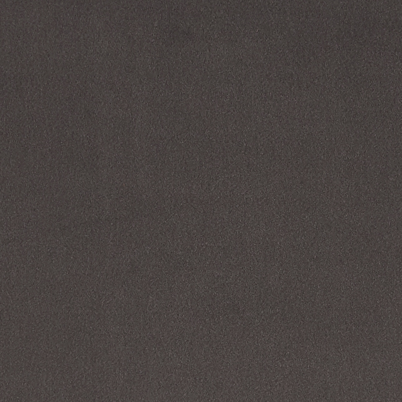 Lucca Ash F1295-02