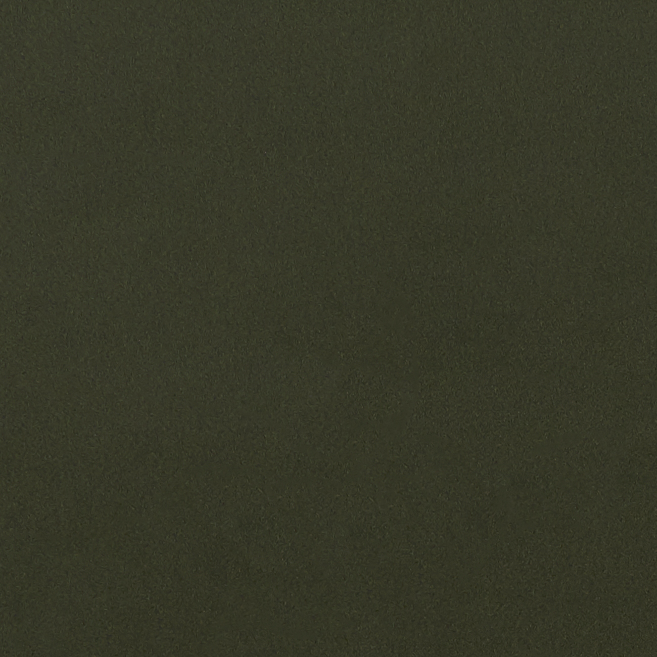 Lucca Chive F1295-03