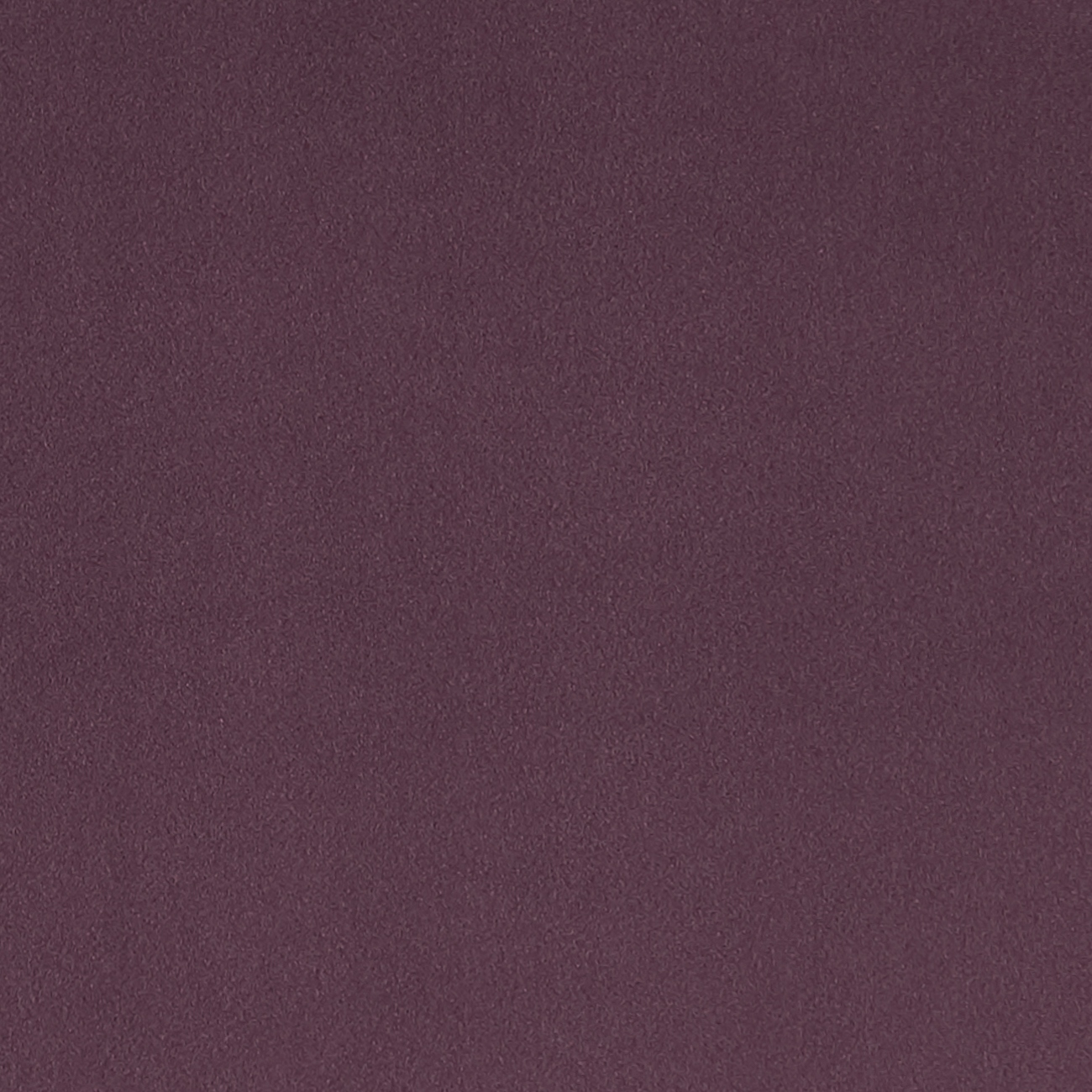 Lucca Heather F1295-06