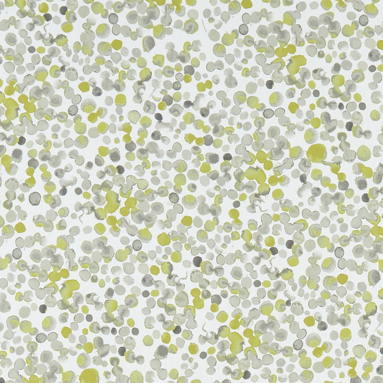 Lugar Chartreuse F1354-01