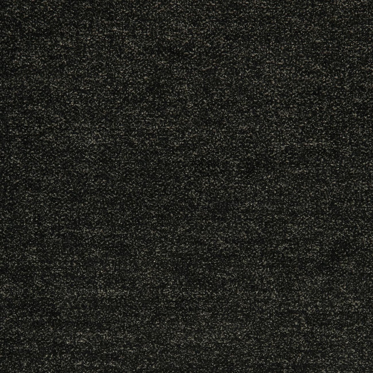 Massimo Charcoal F0986-02