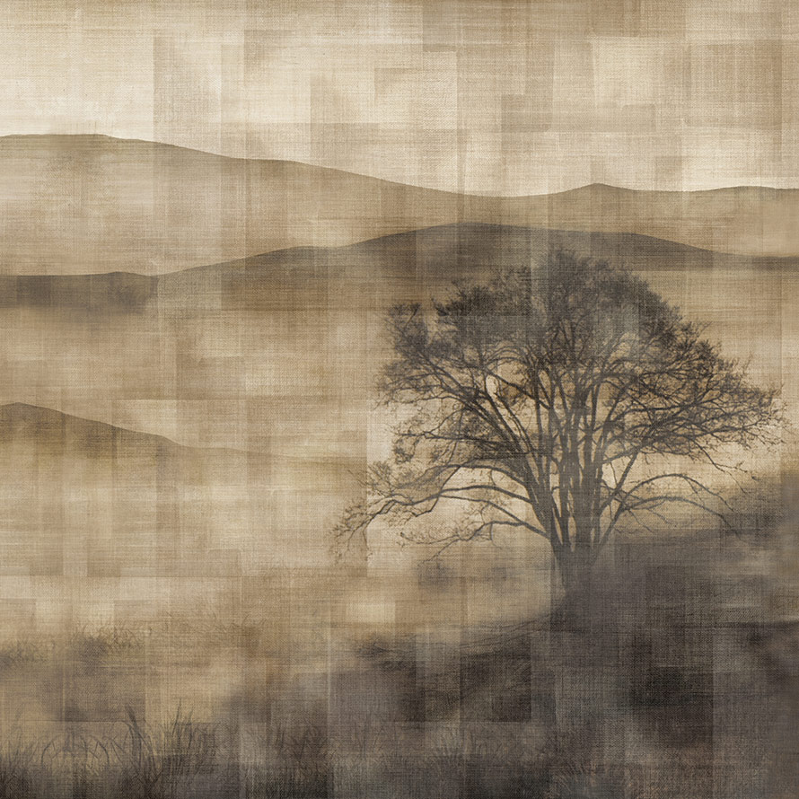 Mist ID901