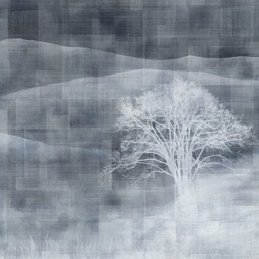 Mist ID902