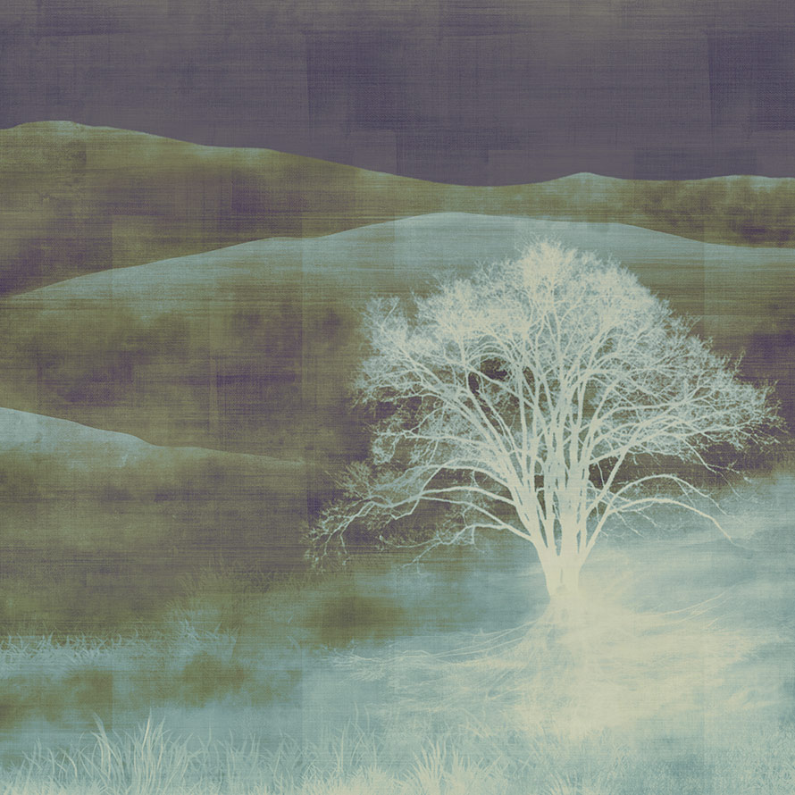 Mist ID903