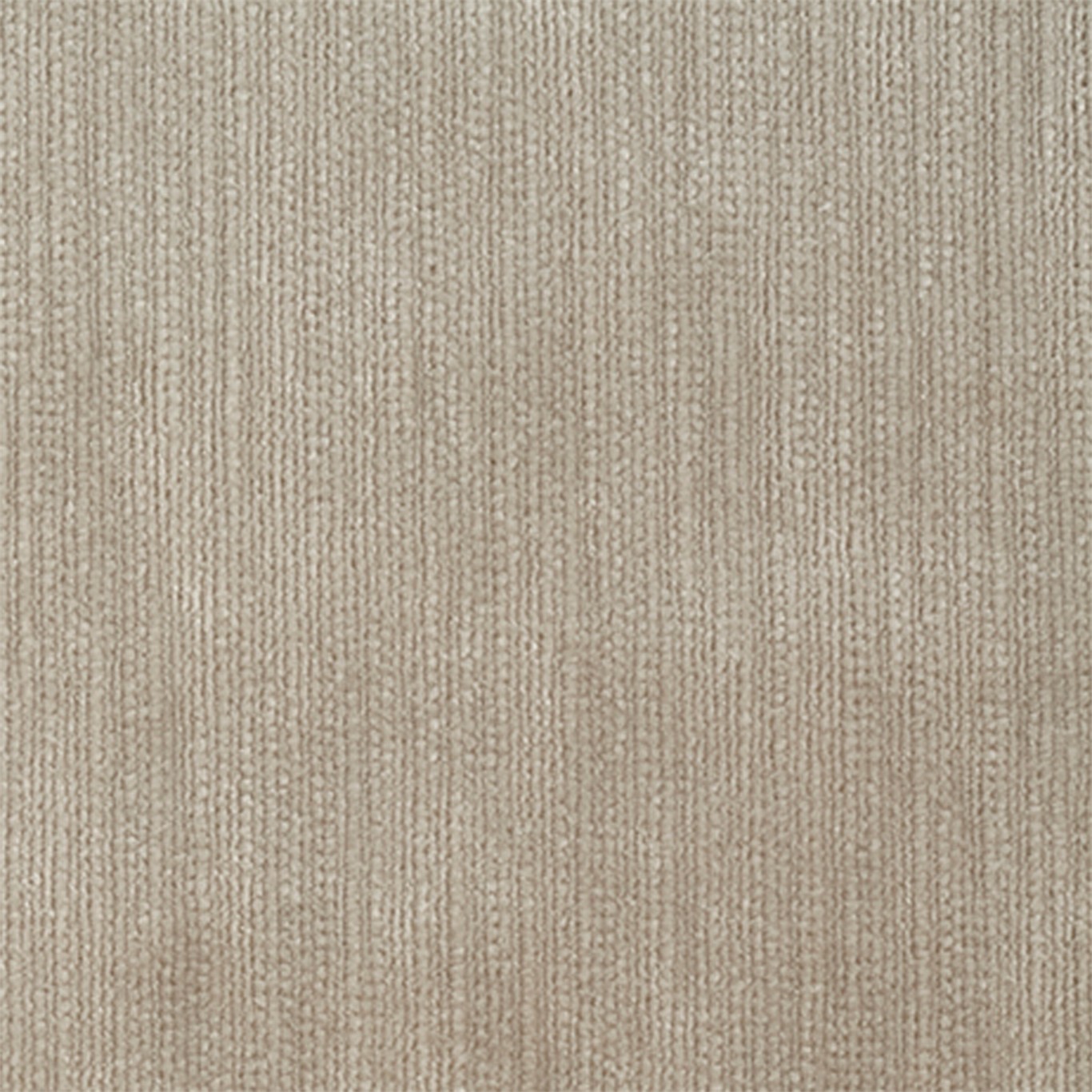 Momentum Velvets 132177