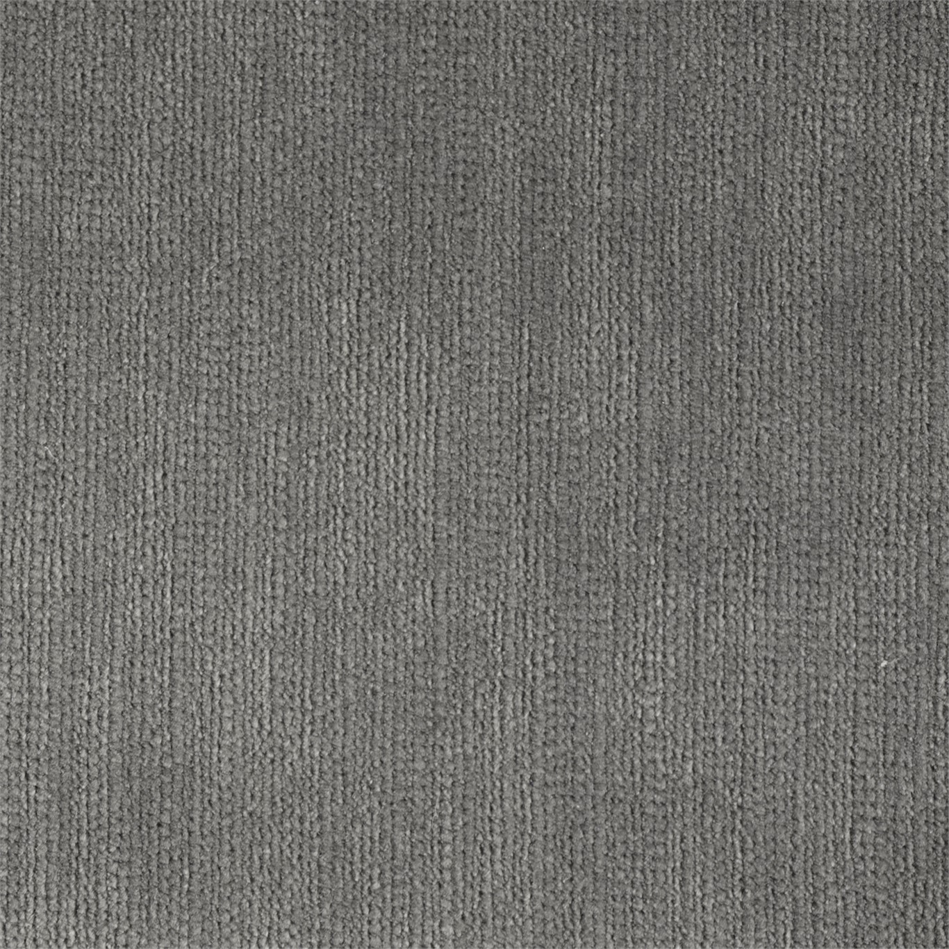 Momentum Velvets 132201