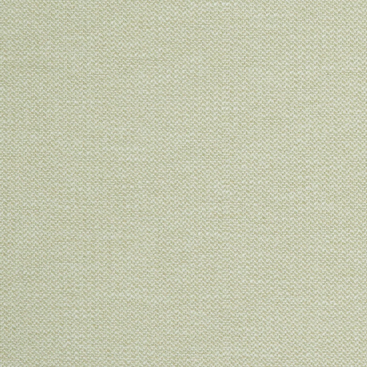 Moreno Olive F1050-08