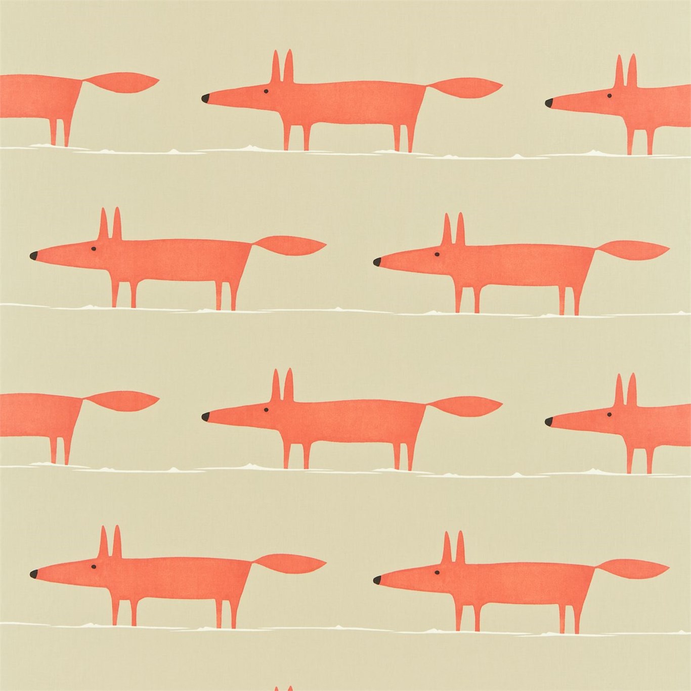 Mr Fox 120071