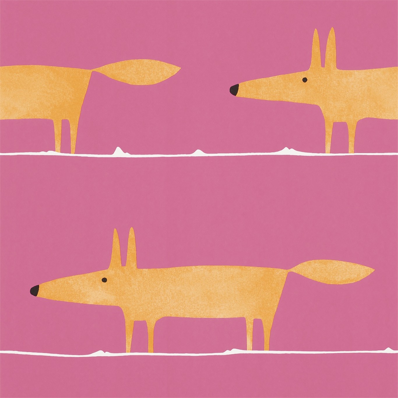 Mr Fox NSWA110843