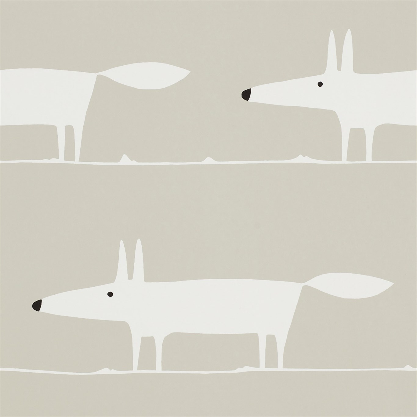 Mr Fox NSWA110845
