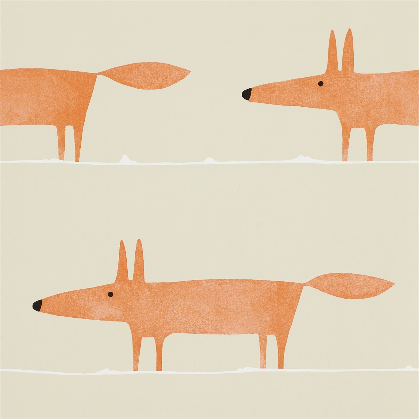 Mr Fox NSWA110847