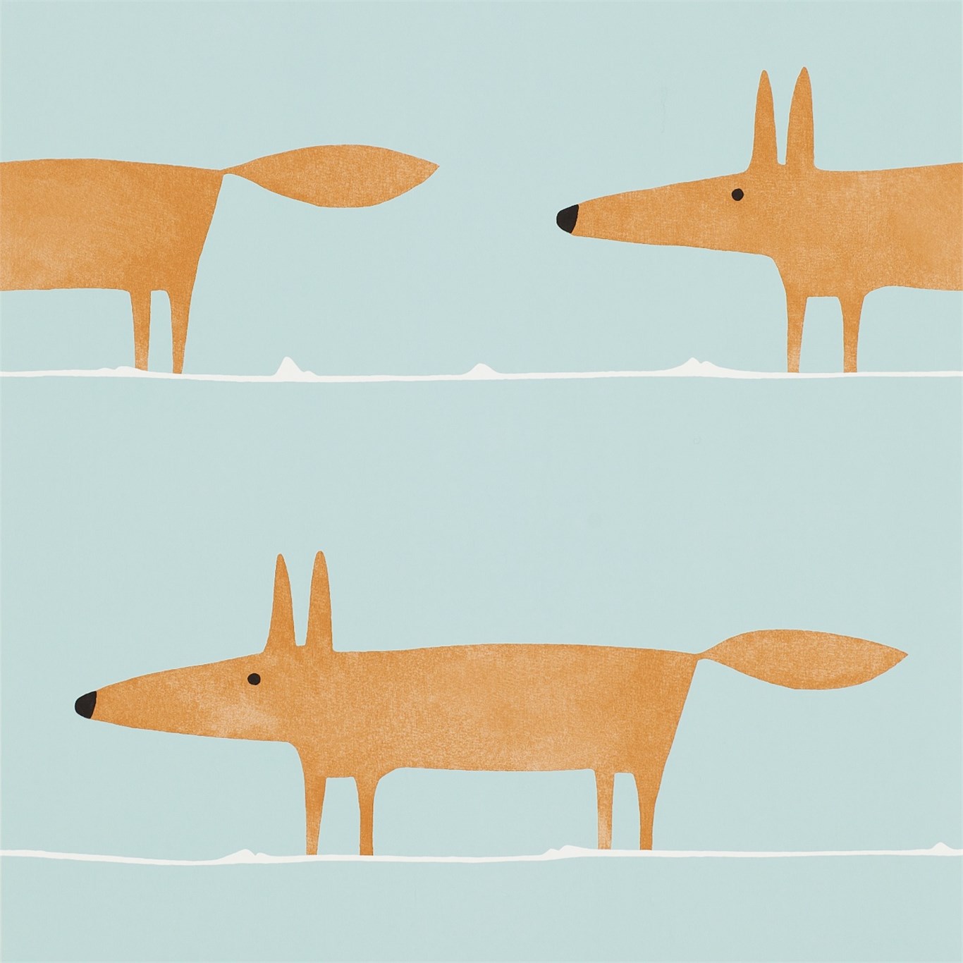 Mr Fox NSWA110849
