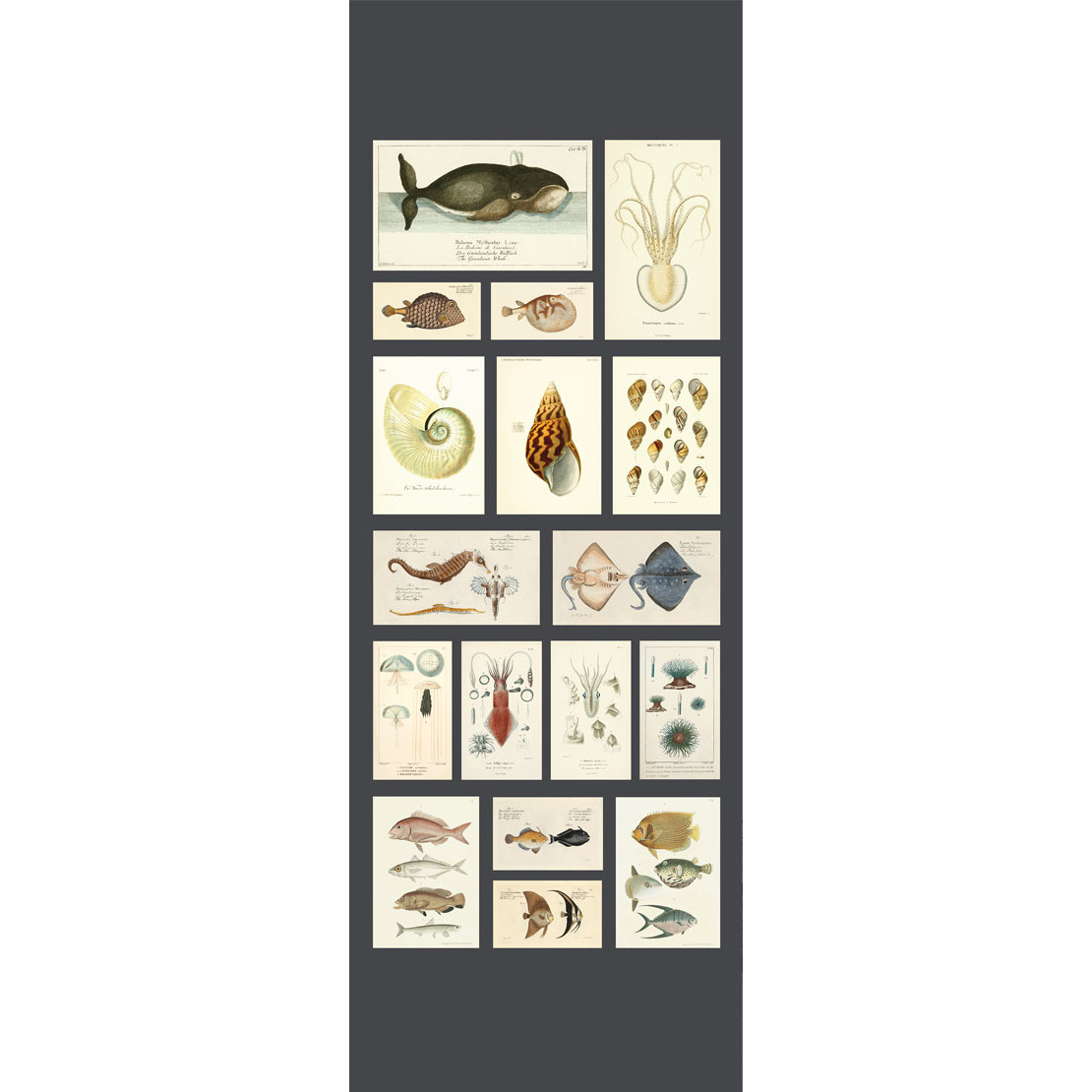 Museum ENCC 8464 15 51