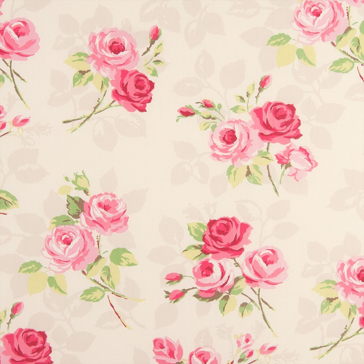 Nancy Chintz F0361-08