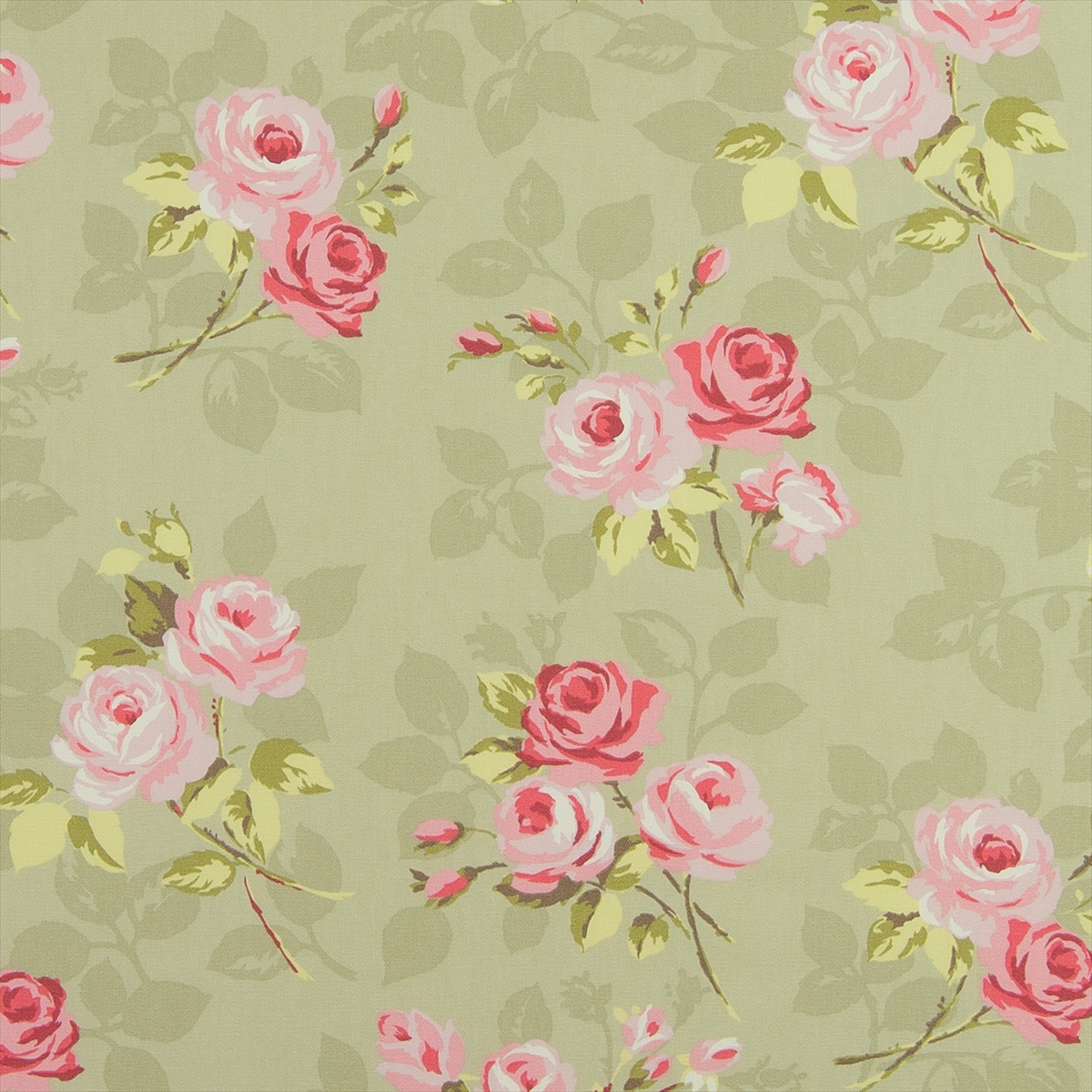 Nancy Sage F0361-01