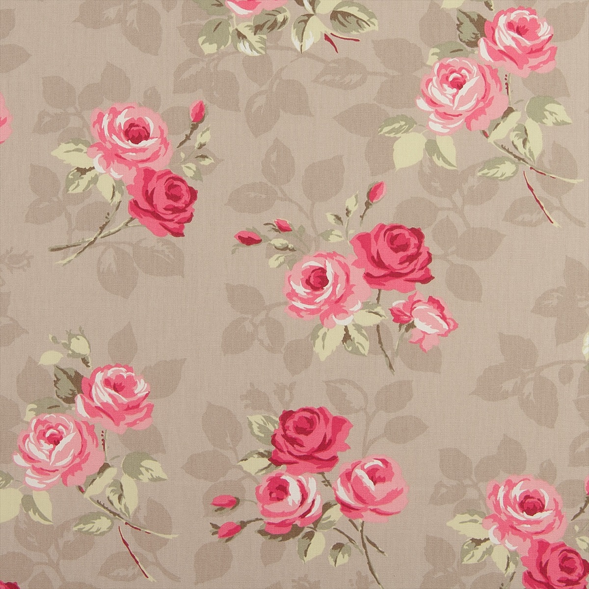 Nancy Taupe F0361-06